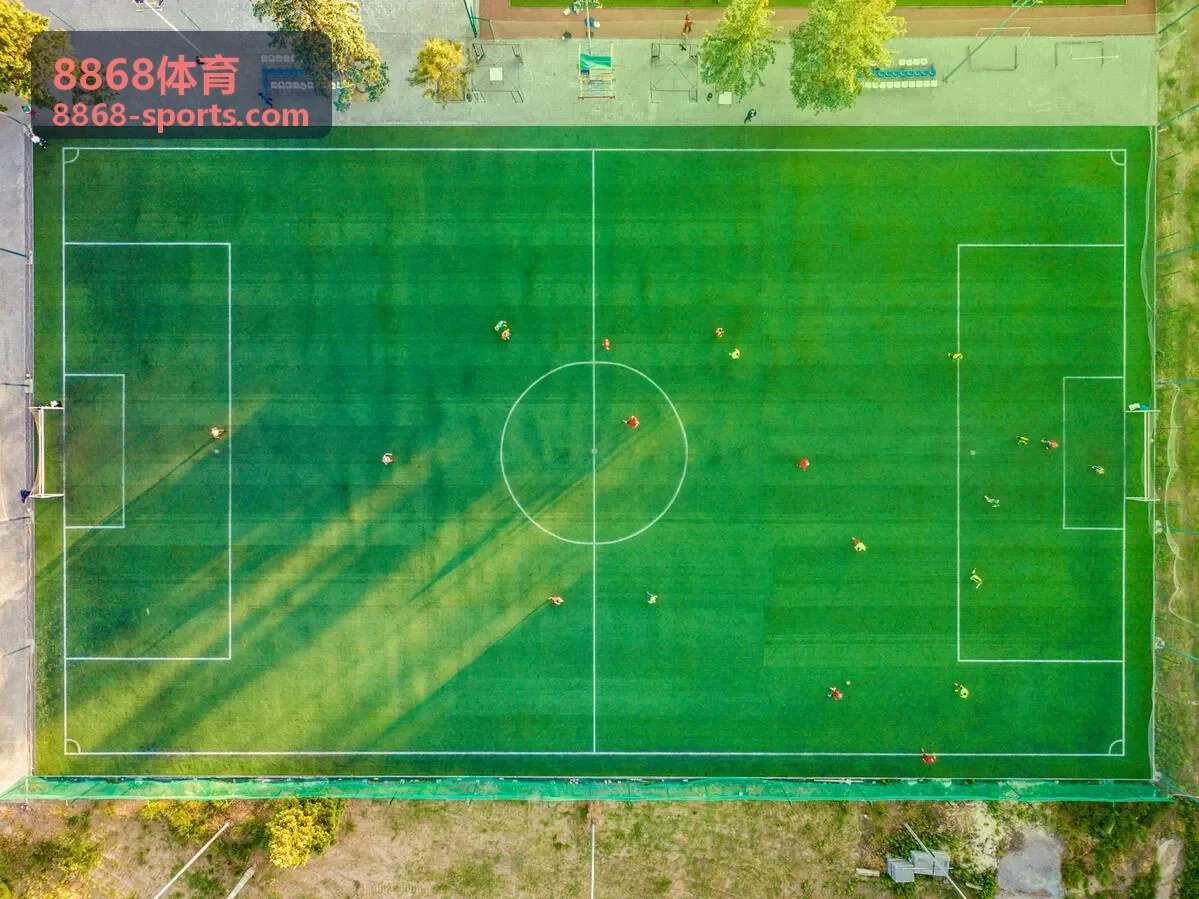 8868体育用户增长引擎